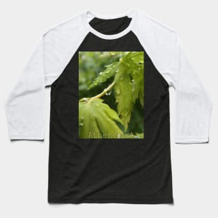 Raindrops on Leaves Baseball T-Shirt